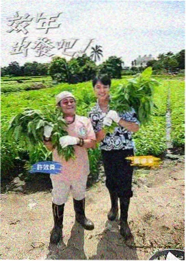 片单图鉴推荐配图
